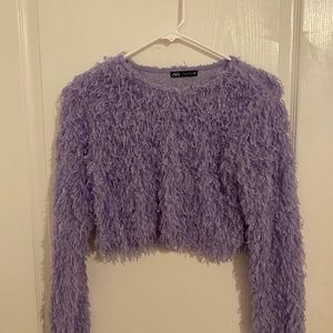 Zara Purple Feather Top